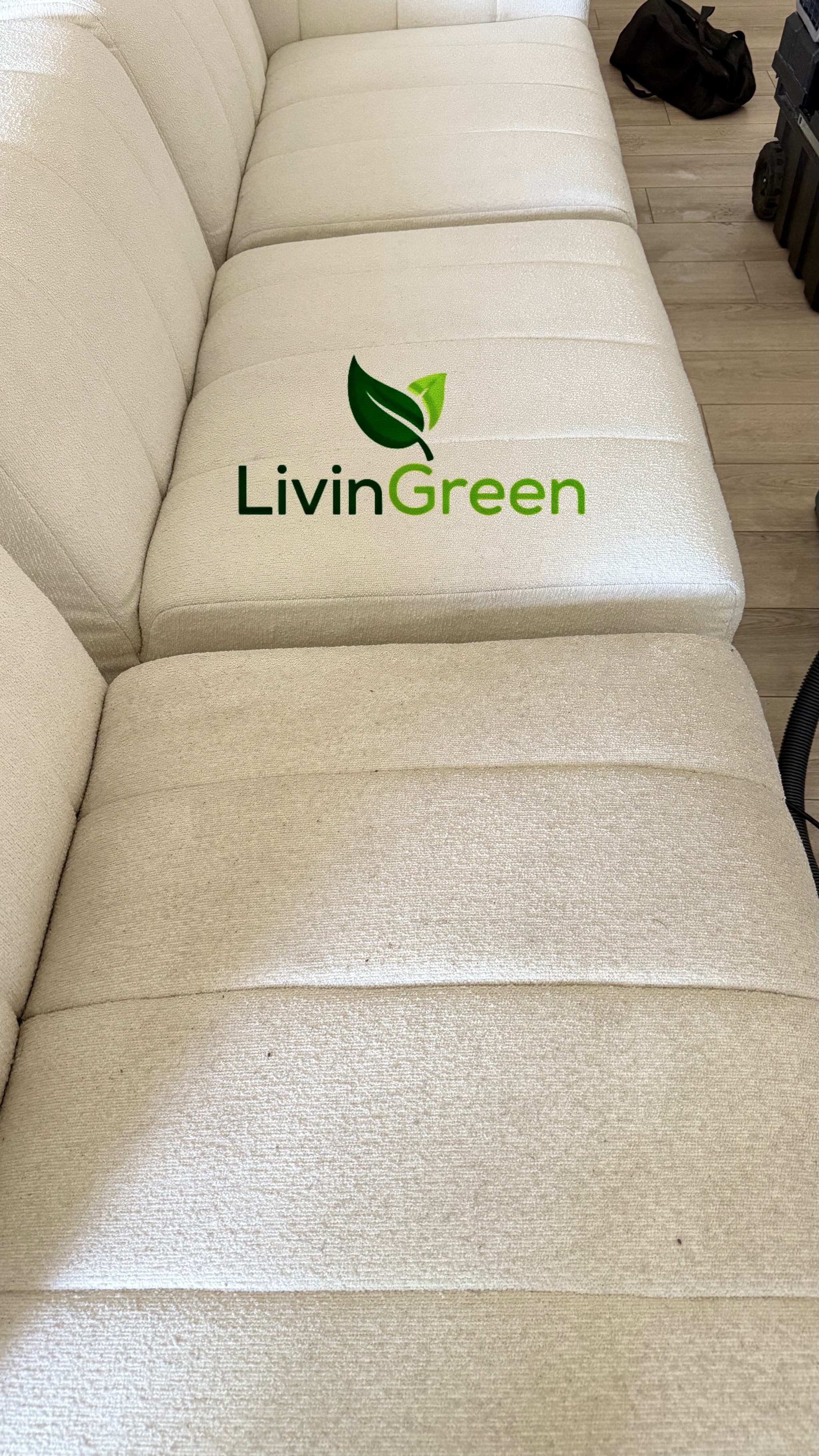 Upholstery & Couch Cleaning in Salt Lake City: A Local Guide