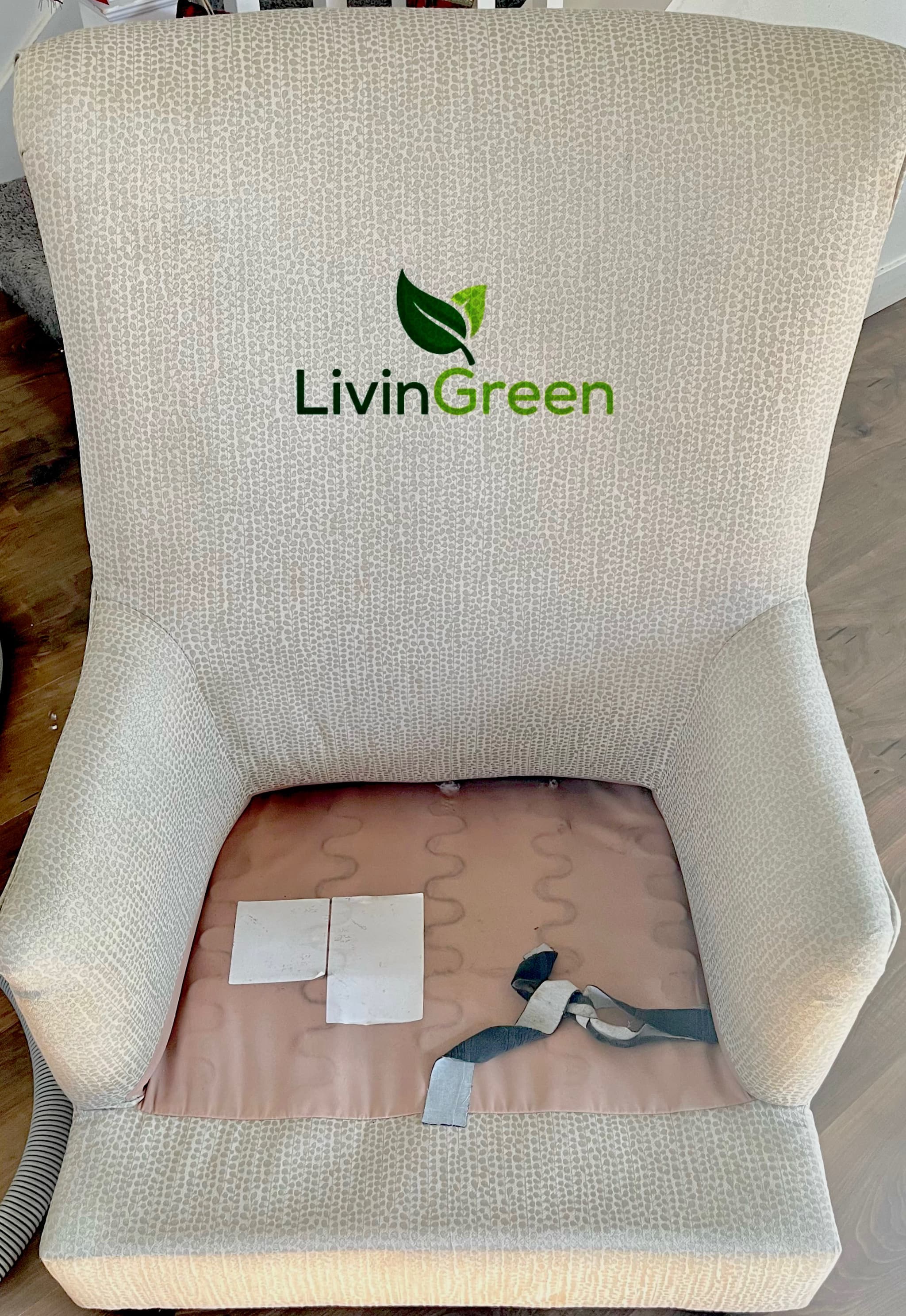 LivinGreen Professional Cleaning 19