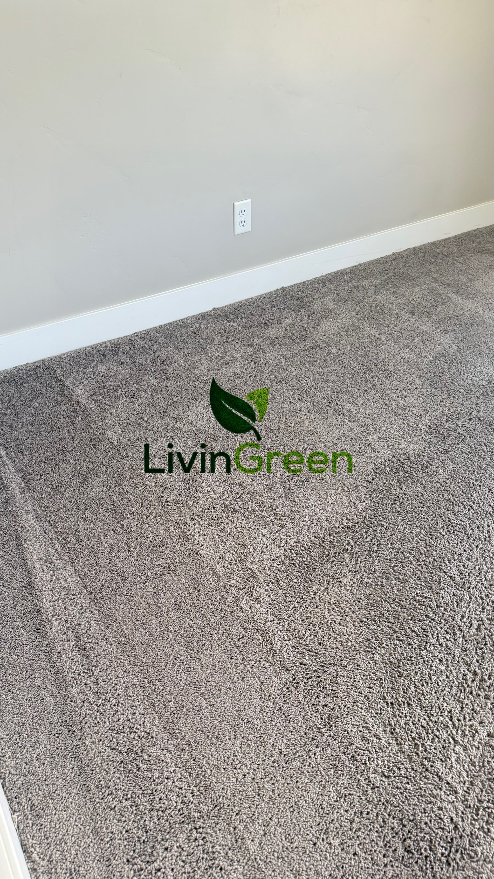 LivinGreen Professional Cleaning 30