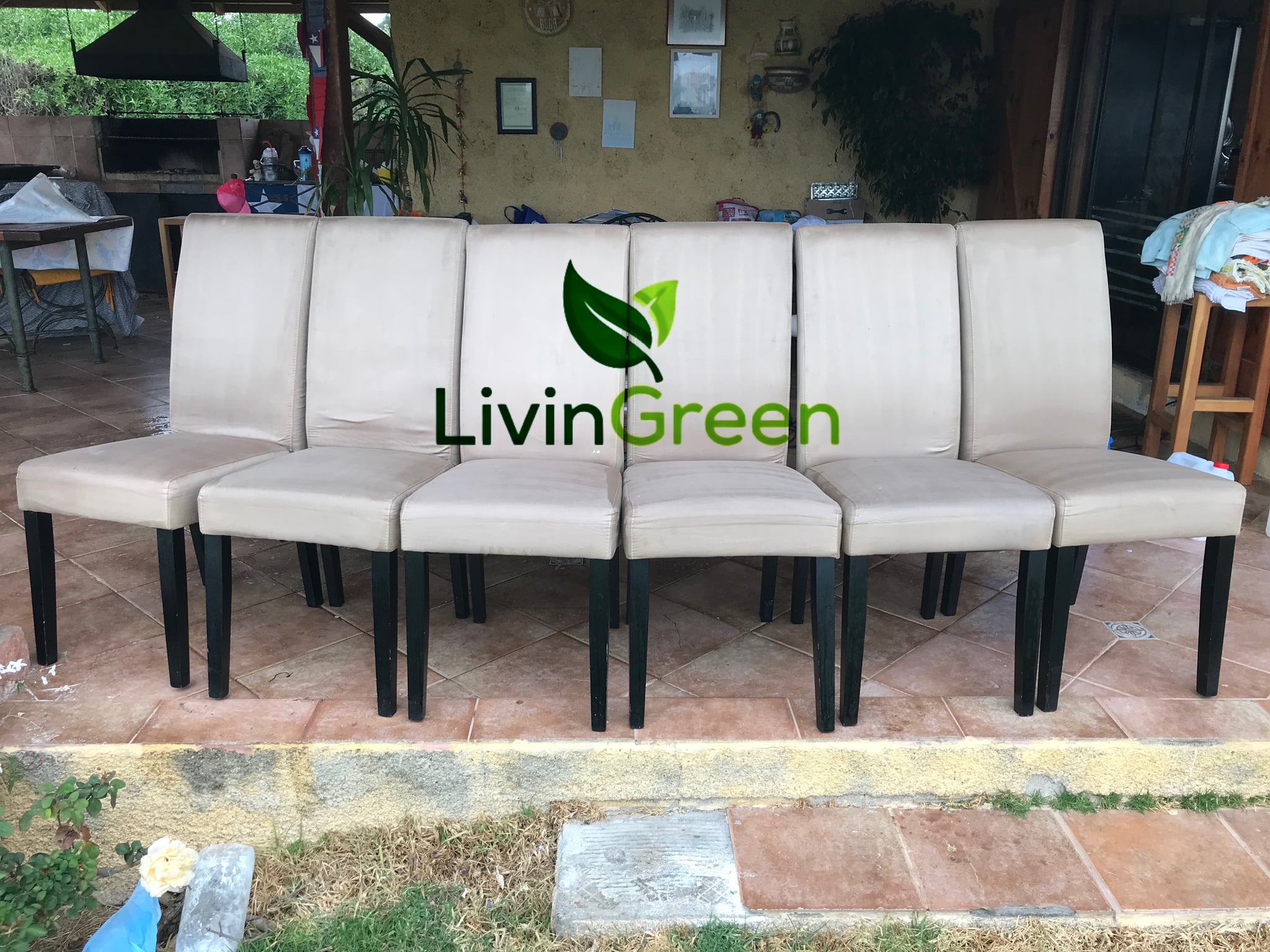 Couch and upholstery cleaning in Springville, Utah