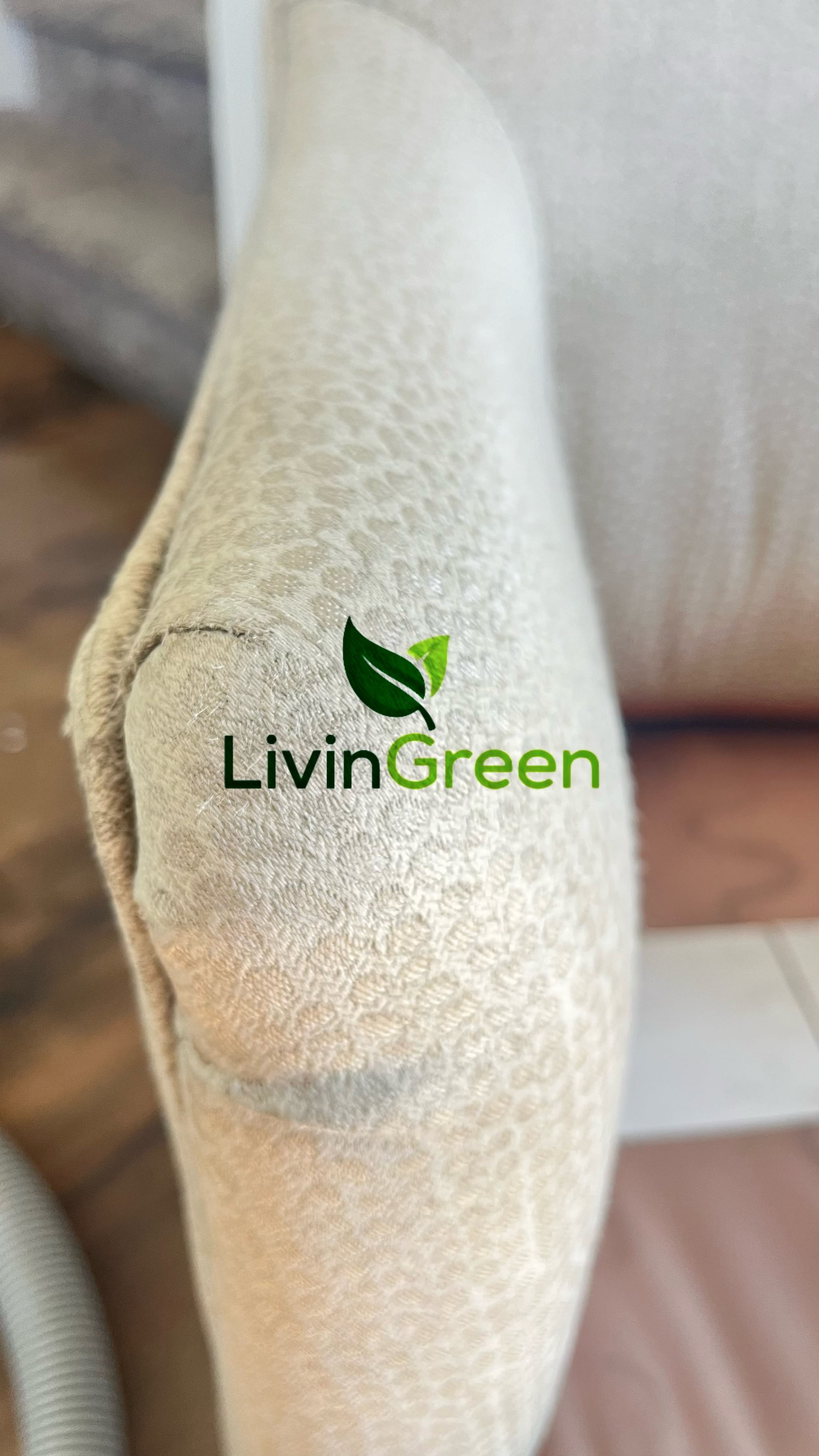 Couch and upholstery cleaning in American Fork, Utah