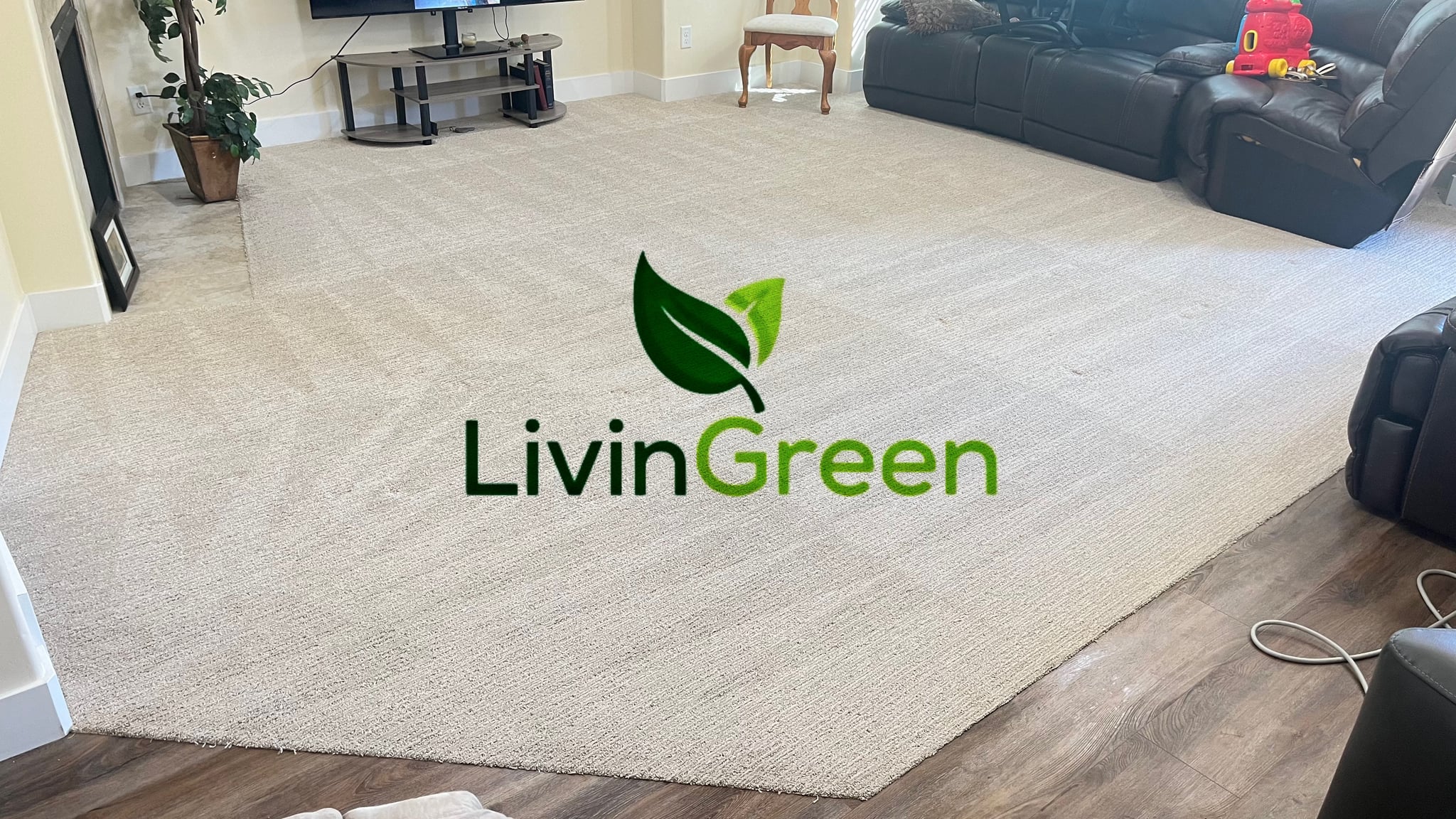 Couch and upholstery cleaning in Lehi, Utah