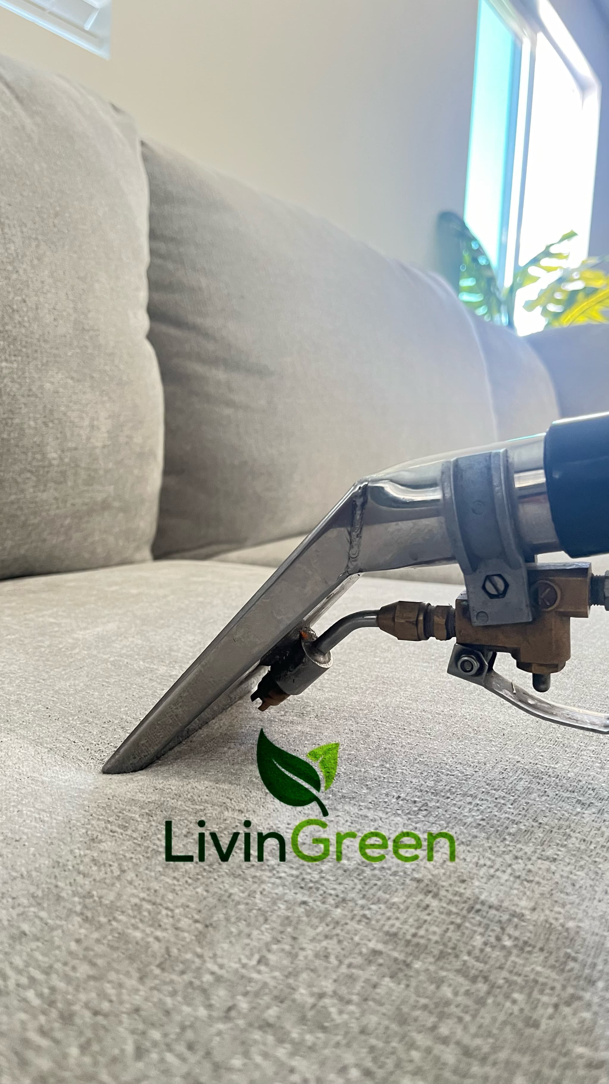 What to Expect During a Couch Cleaning Appointment