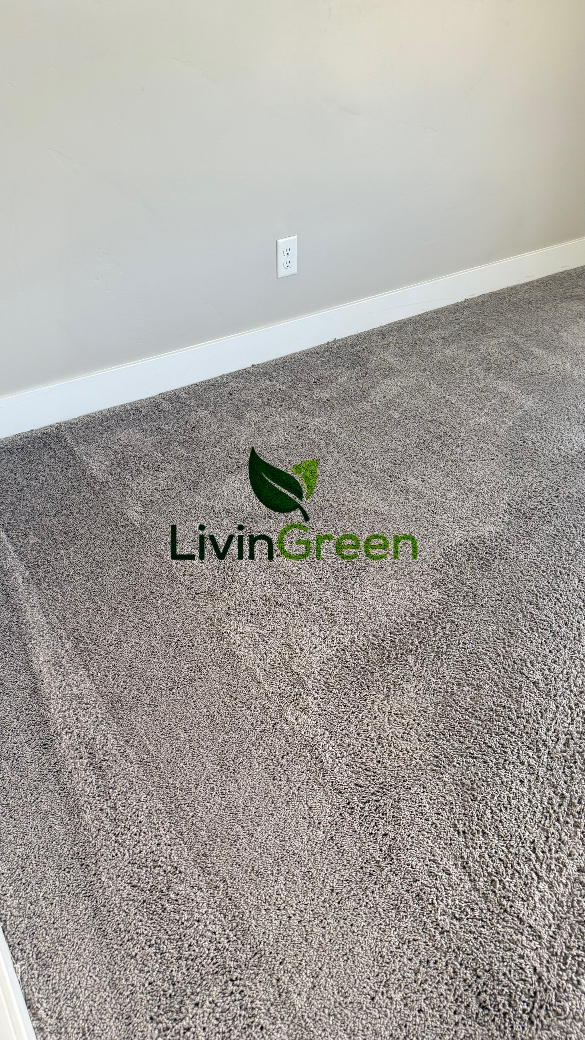 Couch and upholstery cleaning in Saratoga Springs, Utah